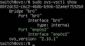 Capture - Open vSwitch : Vue affectation port et interface enp0s3 sur br0