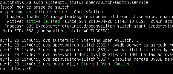 Capture - Open vSwitch : Vue activation du service openvswitch-switch