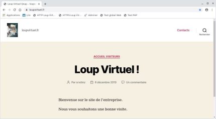 Capture - WordPress : Page accueil de loupvirtuel.fr