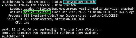Capture - Open vSwitch : Vue activation du service openvswitch-switch