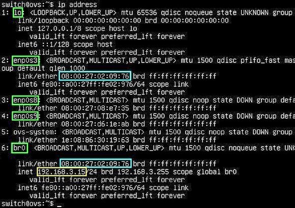 Capture - Open vSwitch : Vue adresse IP sur interface réseau br0