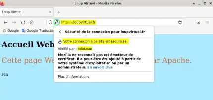 Capture - HTTPS : Site loupvirtuel.fr sécurisé