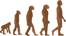 Image - Evolution de l'homme