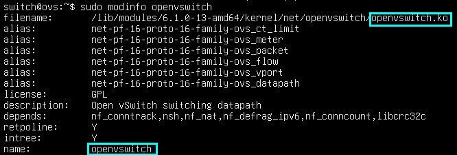 Capture - Open vSwitch : Chemin du module openvswitch.ko