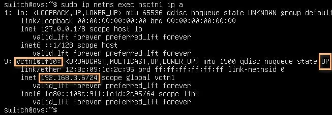 Capture - Espace de nom réseau nsctn1 : Interface veth UP