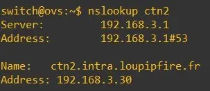 Capture - Conteneur ctn2 : Résolution DNS = OK