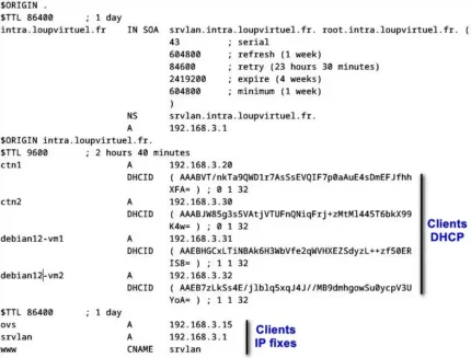 Capture - srvlan : Fichier de zone db.intra.loupvirtuel.fr.directe