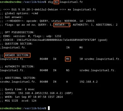 Capture - Postfix : Retour de la Cde dig mx loupvirtuel.fr