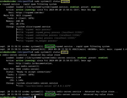 Capture - Rspamd et Redis : Statuts