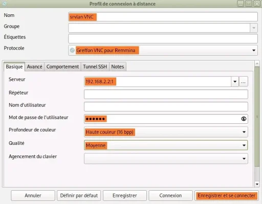 Capture - Remmina : Fenêtre de configuration/connexion VNC