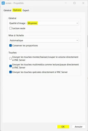 Capture - VNC Viewer : Paramètres onglet Options