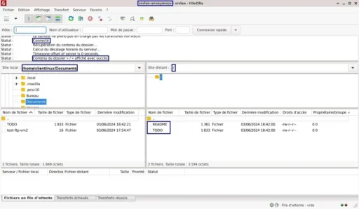 Capture - FileZilla : Connexion FTP Anonymous établie