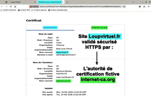 Capture - HTTPS : Détail du certificat SLL pour loupvirtuel.fr