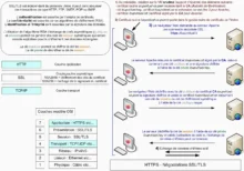 Présentation du HTTPS avec négotiations SSL/TLS