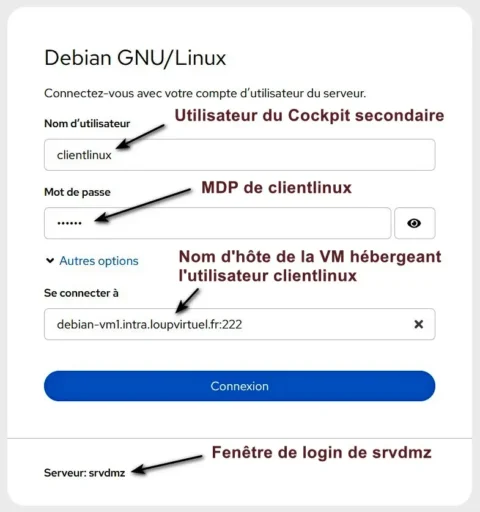 Capture - Cockpit : Liaison directe sur un Cockpit secondaire